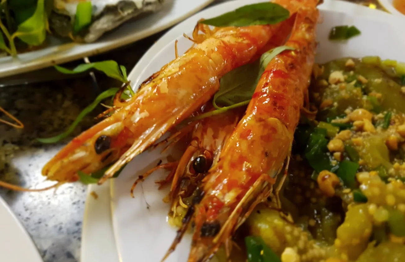 리스본, 포르투갈, 거리 생활, 대 중 교통, 시가 전차, 도시