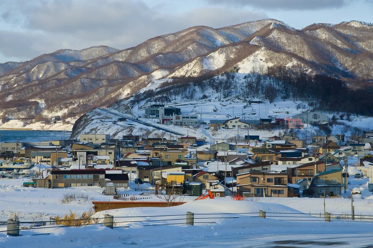 일본, 홋카이도, 겨울, 눈, 삿포로