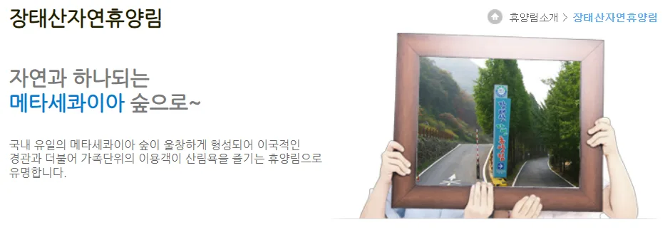 트립트러스트 여행 콘텐츠 이미지