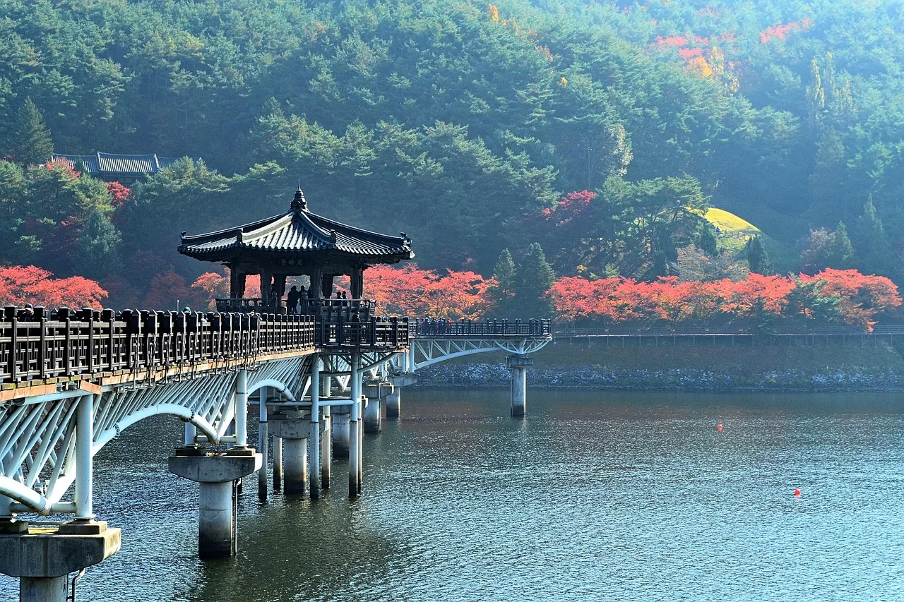 다리, 호수, 숲, 가을, 대한민국, 안동
