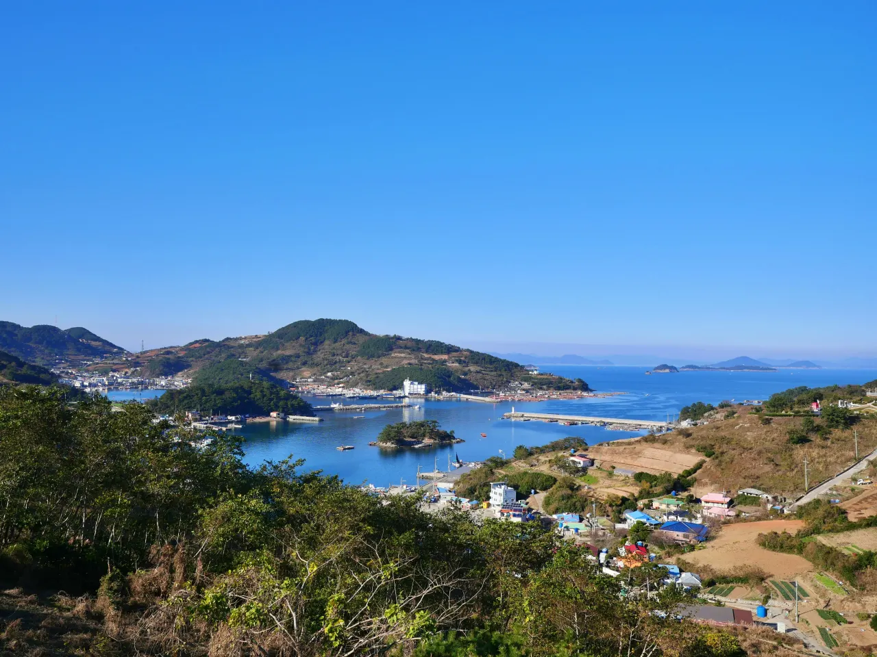 낮 동안 푸른 잔디 필드 근처 바다에 하얀 보트