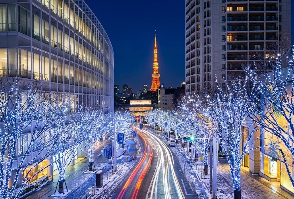 ํธ๋ฆฝํธ๋ฌ์คํธ ์ฌํ ์ฝํ
์ธ ์ด๋ฏธ์ง