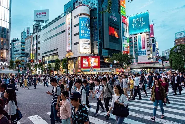 트립트러스트 여행 콘텐츠 이미지