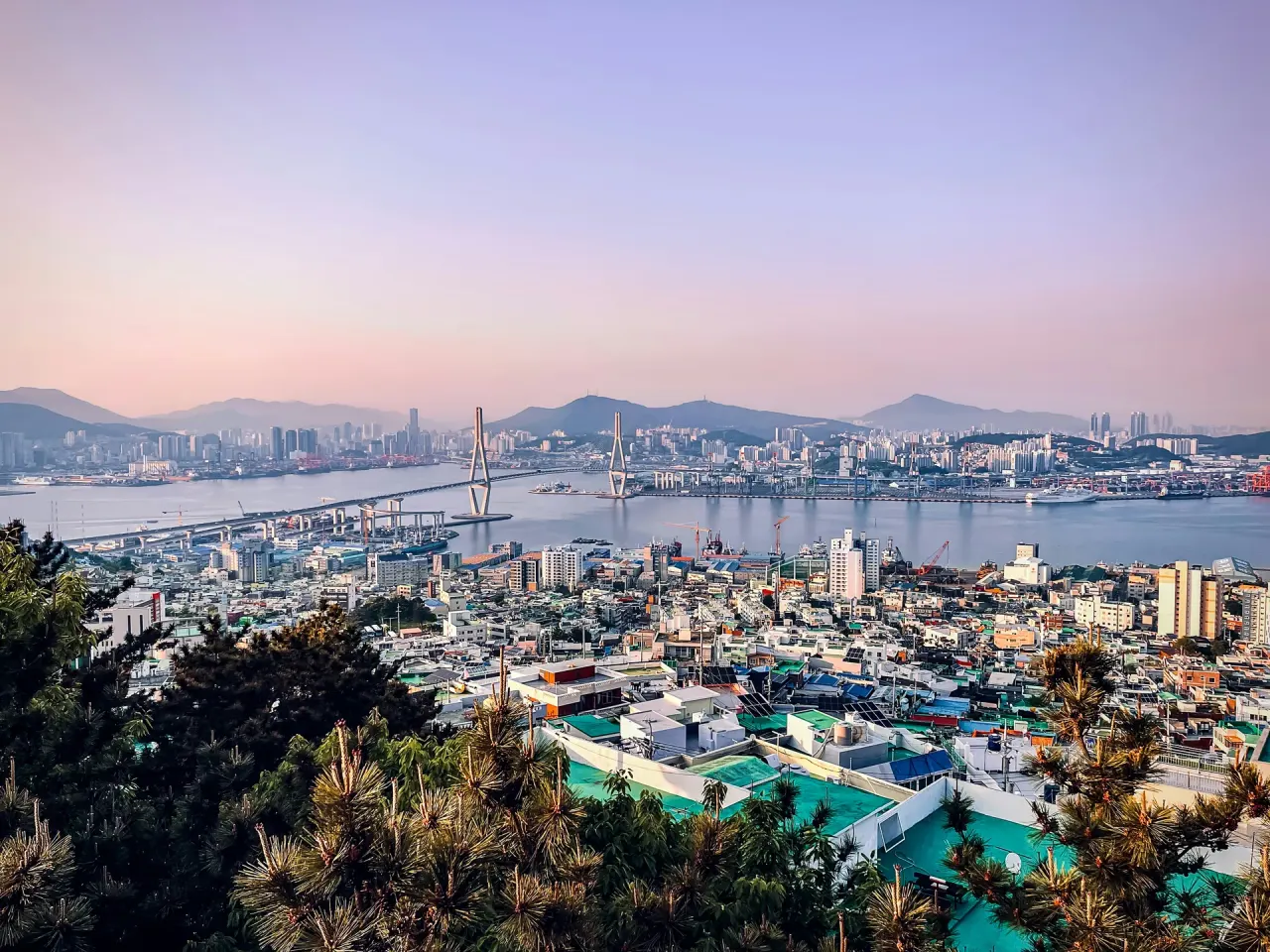 배경에 다리가 있는 도시의 모습
